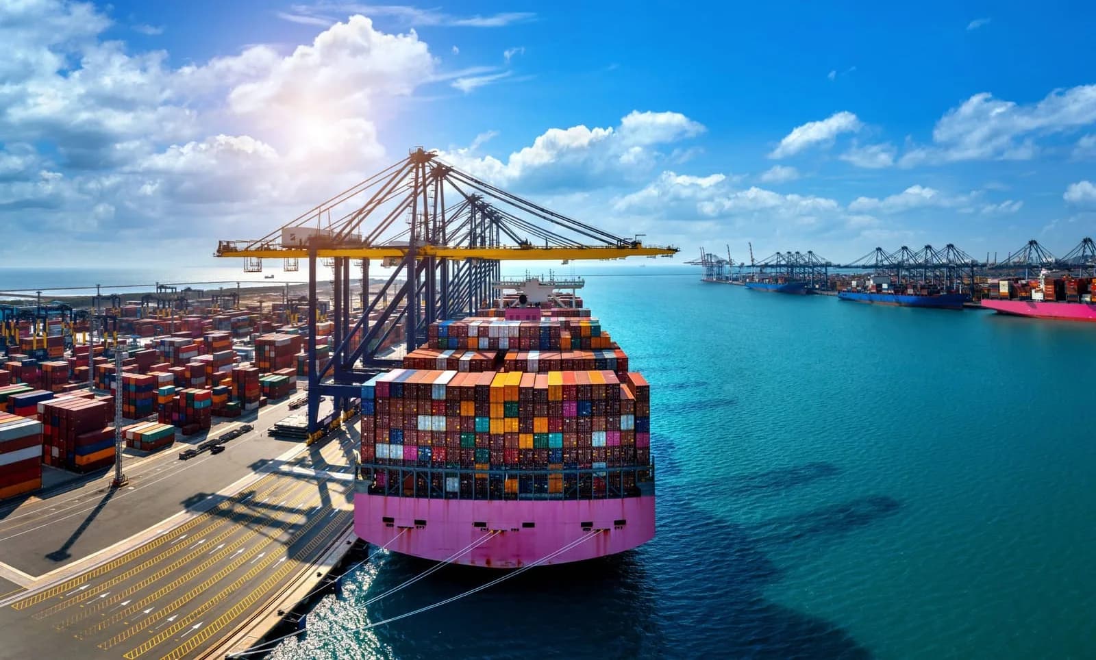 Operación portuaria de contenedores con buque en muelle y grúas pórtico, escenario del servicio de inspección, trasiego y reempaque.